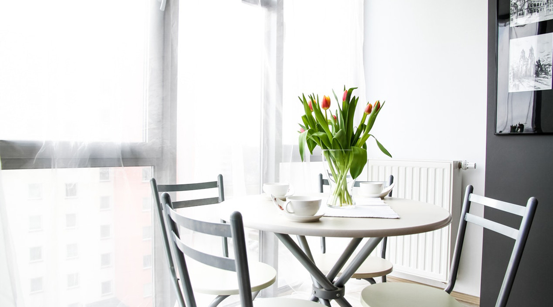 Plantas en el interior